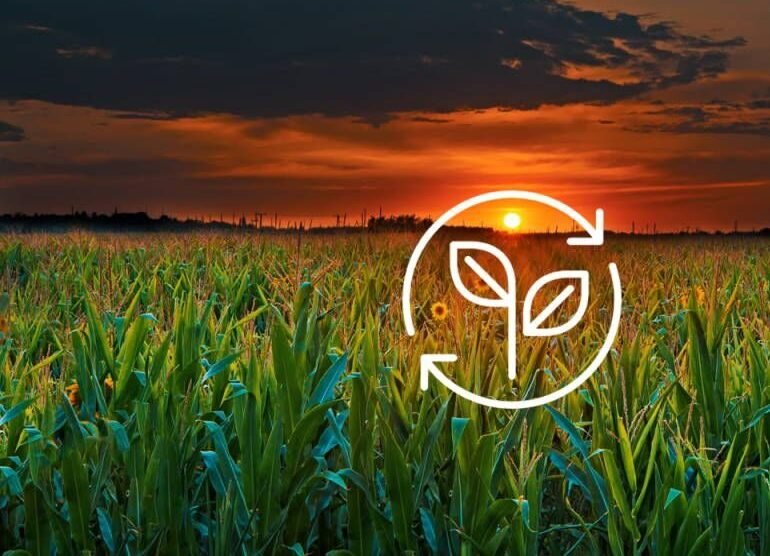 25dc60e976641647fcc94f6241f6a59f