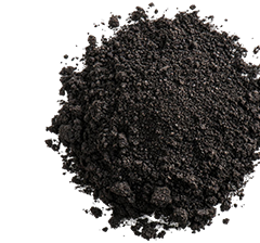 biochar